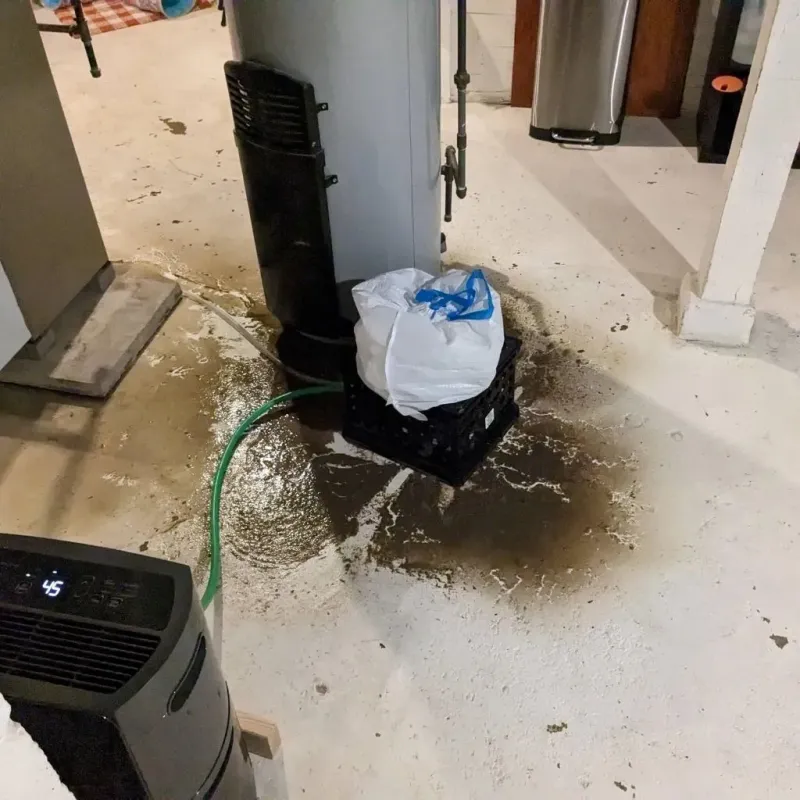 Sewage Backup Cleanup Service in Russell County, AL